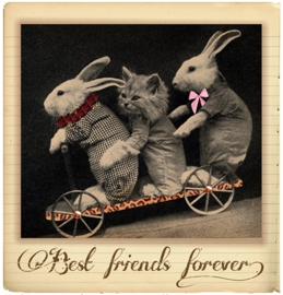 BEST FRIENDS FOREVER IRON ON TRANSFER