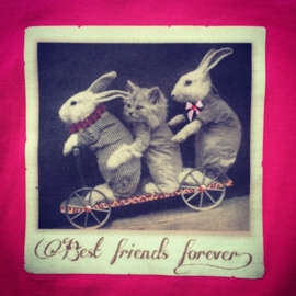 BEST FRIENDS FOREVER IRON ON TRANSFER