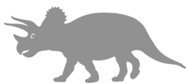 TRICERATOPS STRIJKAPPLICATIE