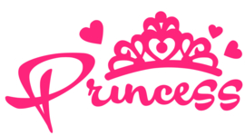 PRINCESS STRIJKAPPLICATIE