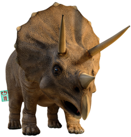 TRICERATOPS IRON ON TRANSFER