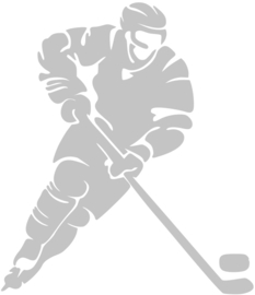 EISHOCKEY BÜGELBILD