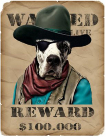 WANTED REWARD BÜGELBILD