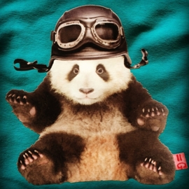 PANDA-BÄR BÜGELBILD