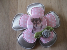 Broche 31