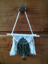 Wand / Kast/ Auto hanger (2 kleur)