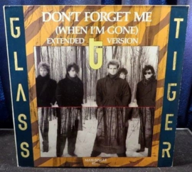 Glass Tiger ‎– Don't Forget Me (When I'm Gone)
