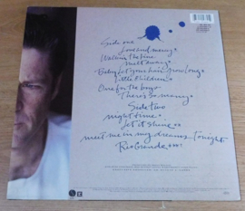 Brian Wilson – Brian Wilson