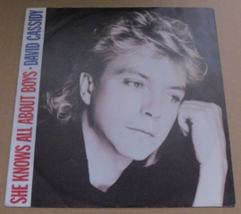 David Cassidy – She Knows All About Boys