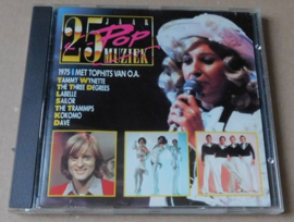 Various – 25 Jaar Popmuziek – 1975