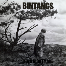 Bintangs - It's a Nightmare | LP