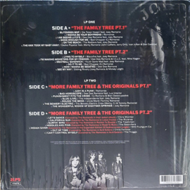 The Many Faces Of Ramones - A Journey Through The Inner World Of Ramones | 2x LP
