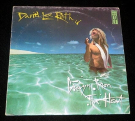 David Lee Roth - Crazy from the heat