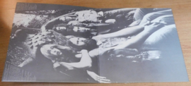 Steely Dan – Pretzel Logic