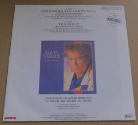 David Cassidy – She Knows All About Boys