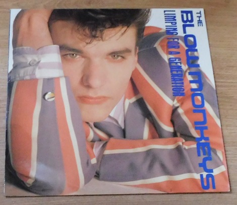 The Blow Monkeys – Limping For A Generation