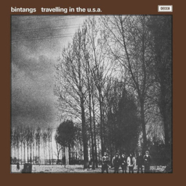 Bintangs - Travelling In the Usa | LP