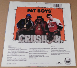 Fat Boys And The Beach Boys – Wipeout!