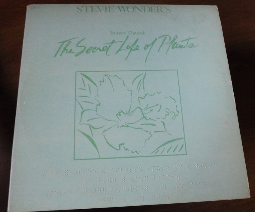 Stevie Wonder – Journey Through The Secret Life Of Plants