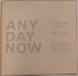 Krezip – Any Day Now | LP