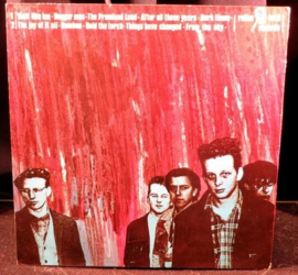 The Wild Flowers - The Joy of it all