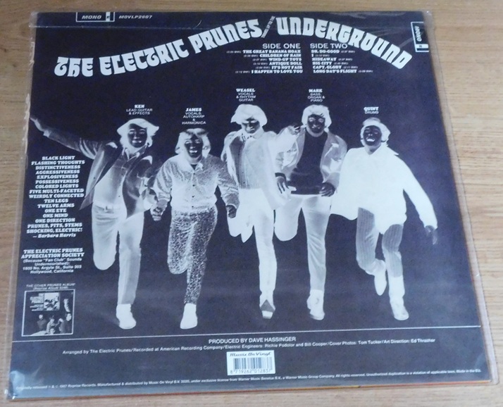 The Electric Prunes – Underground