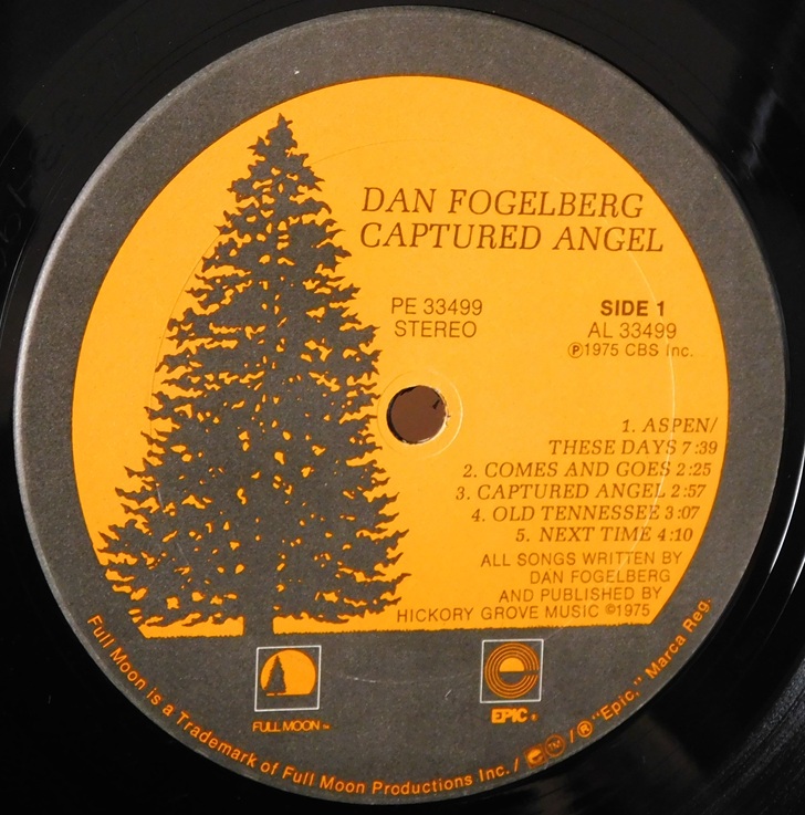 Dan Fogelberg – Captured Angel