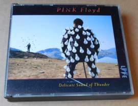 Pink Floyd – Delicate Sound Of Thunder