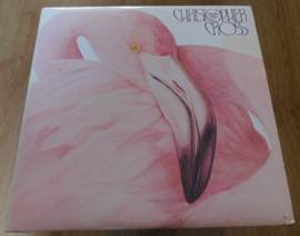 Christopher Cross – Another Page