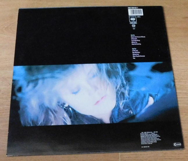 Alison Moyet – Raindancing