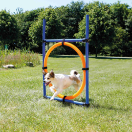 Dog Activity Agility Ring,kunststof 115x 3cm, 65cm