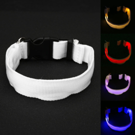 Oplaadbare led halsband Kleur wit  OP= OP