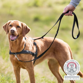 Trainingstuig Lead'n'Walk Soft