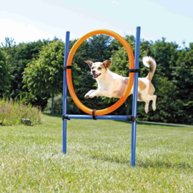 Dog Activity Agility Ring,kunststof 115x 3cm, 65cm