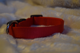 Nylon halsband rood 34-54