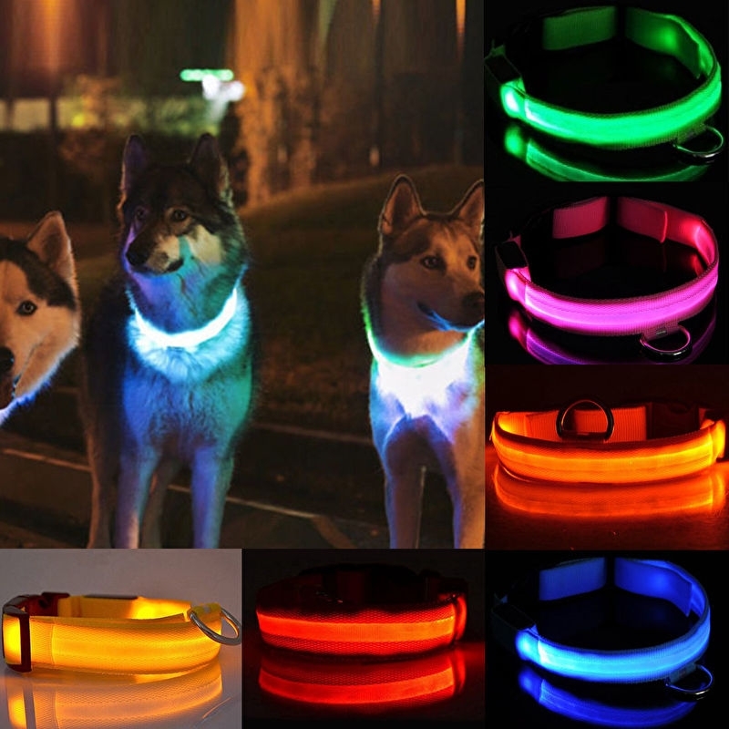 Led | Hond hond