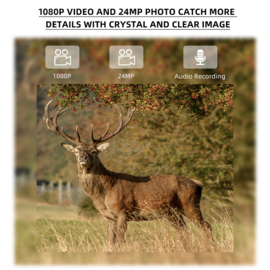 Stealth Gear Hedgehog 1080p 4G Trailcamera