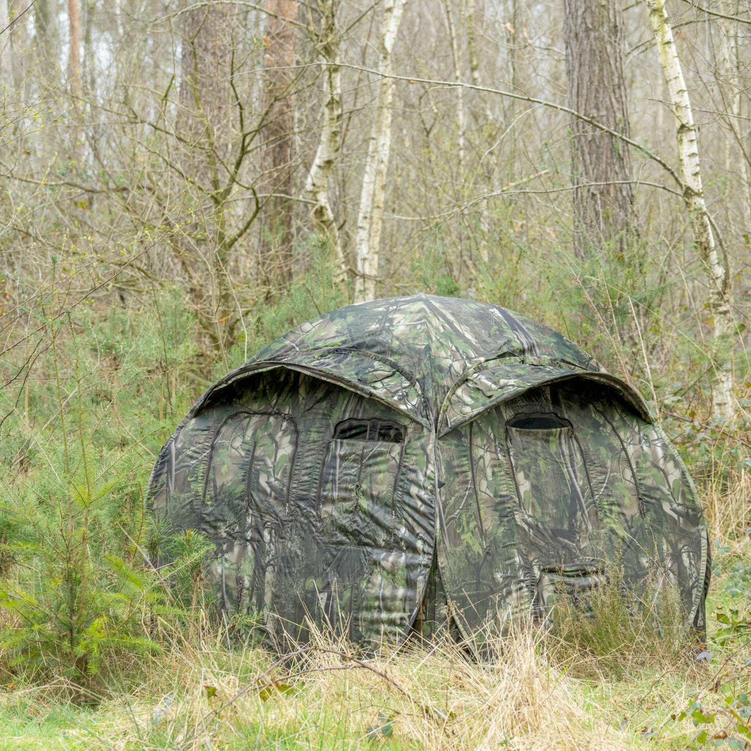Photo Hide Aquila Mark III Green