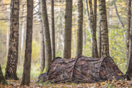 9 tips for bird photography beginners - Buteo Photo Gear