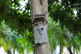Stealth Gear Owl Solar 4K Wifi Trailcamera