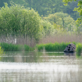 Namiot-Czatownia Pływadło fotograficzne, Floating hide 'Grebe'