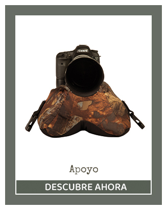 Apoyo | Buteo Photo Gear®