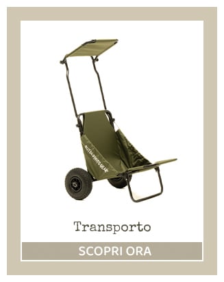 Transporto | Buteo Photo Gear®