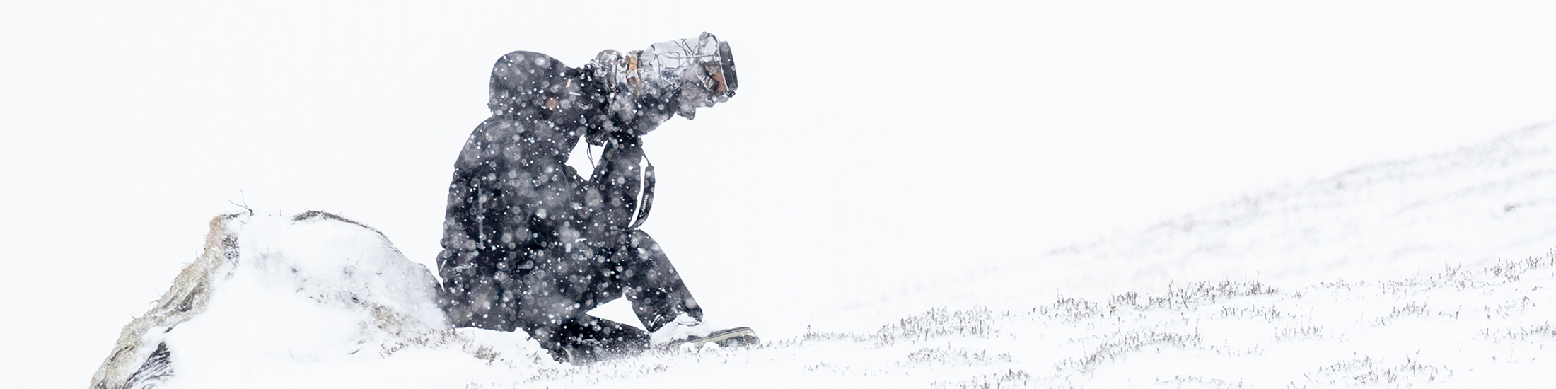 Buteo Photo Gear | Protection