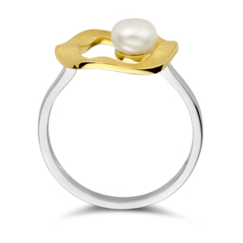 Vergulde ring gescratcht rondje met parel