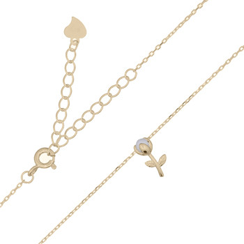 VERGULDE COLLIERS