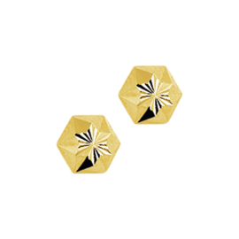 Gouden oorstekers zeshoek gediamanteerd 6 mm