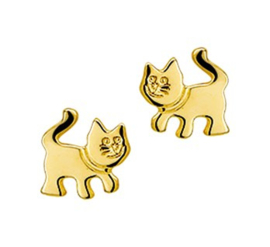 Gouden oorstekers kat