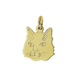 Gouden kettinghanger poes