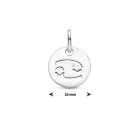 Hanger sterrenbeeld kreeft